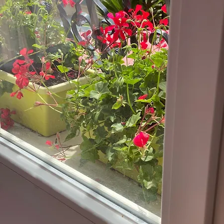 בית אירוח D'hotes Chez Marie Pierre *